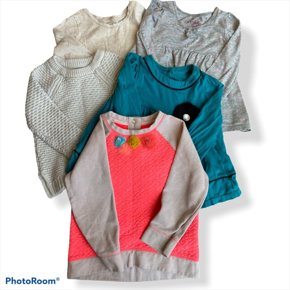 Bundle of Toddler Girls Long Sleeve Tops | 2T